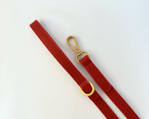 Collection image for: Laisses pour chiens